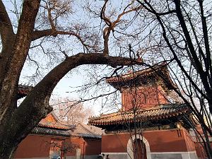 2023 02 05  PEKIN - WANSHOU TEMPLE LONGEVITE BIENVEILLANCE (15)